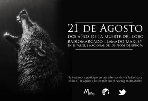 Cartel de la Asociación para la ciberacción.